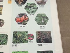 -北京中医药大学-中医药博物馆