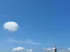 -涉地可支