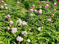 -幕燕滨江·长江观音景区