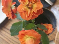 -六阅·福十 FORTEN 海景咖啡西餐厅(双廊古镇店)