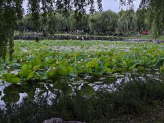 -堤角公园