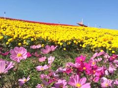 -东部华侨城