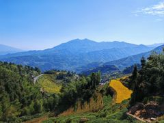 -紫鹊界梯田景区