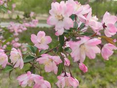 -元大都城垣遗址公园