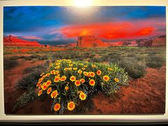 -罗红摄影艺术馆