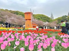 -苏州上方山国家森林公园