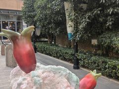 -思南书局(复兴中路店)