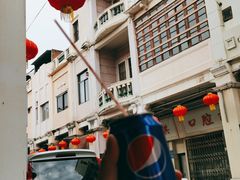 -莞翟蔴茶王(东莞记忆店)