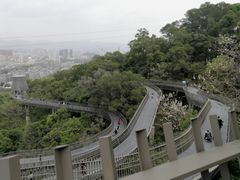 -金鸡山公园