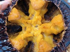 -海胆小馆(东北水饺·春柳店)