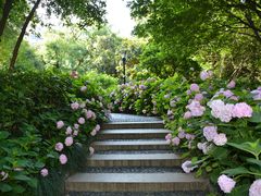 -常州古运河南大街文化旅游区-人民公园