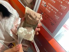 -野人先生现做冰淇淋(北京王府井东方新天地店)