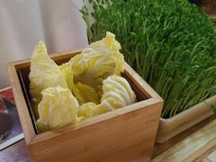 娃娃菜-左庭右院鲜牛肉火锅(新梅广场店)