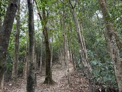 -梧桐山风景名胜区