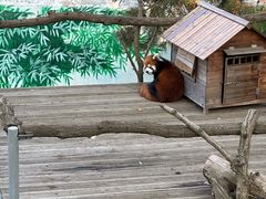 -西霞口神雕山野生动物世界