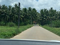 -阿侬盐焗鸡(清澜店)