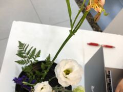 -帝京日语(春熙路旗舰校区)