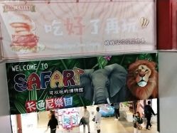 -卡通尼·Safari非洲探索乐园·生日会(金桥国际商业广场店)