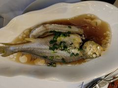 -骏莱海鲜鱼港(五角场店)