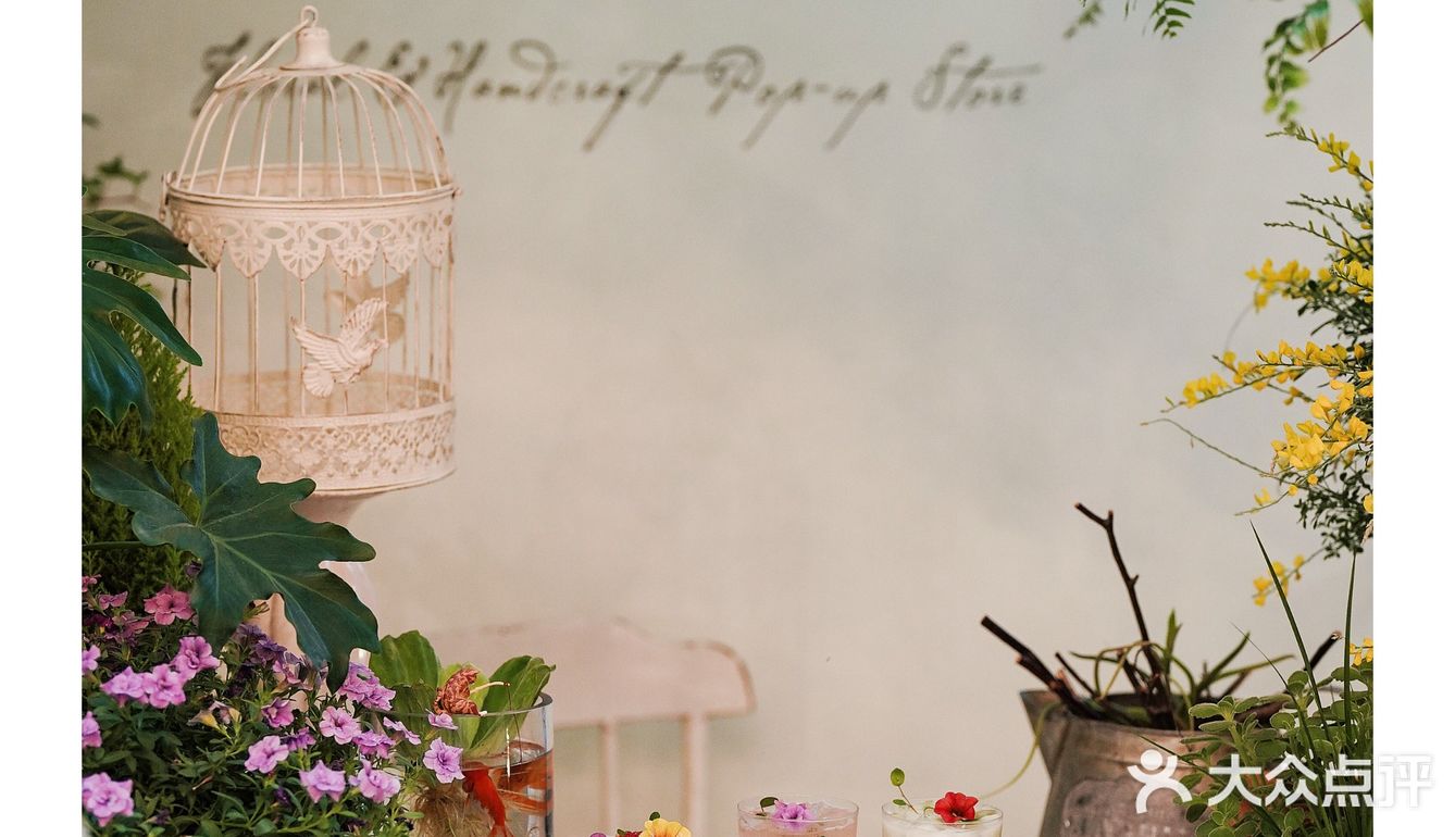 春天开在了花里花俏的地方💐