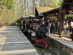 -合肥滨湖国家森林公园