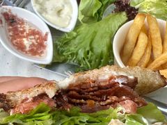 -Fern Forest Cafe