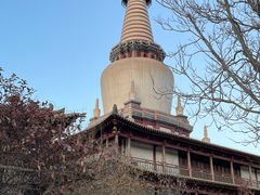 -张掖大佛寺景区