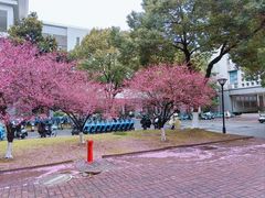 -东南大学(九龙湖校区)
