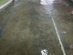 -光头佬室内钓虾场·烧烤·团建·亲子(中山八路店)