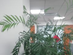 -华为授权服务中心(姚家园万象汇)