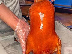 -秀儿四九城·新京菜(亚运村鸟巢店)