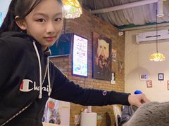 -猫小院猫主题咖啡厅(北锣店)