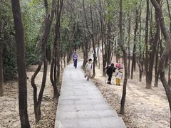 -火炉山森林公园