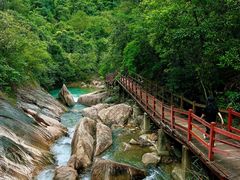 -广州白江湖森林公园