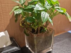 -唐猫庭院·千年陕菜(赛格国际购物中心店)