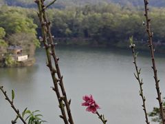 -红花湖景区