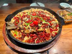 -老板恋上鱼(恒隆广场店)