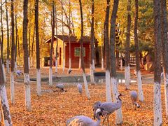 -艾溪湖湿地公园