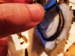 -土蚝·高压锅生蚝(百姓美食街店)