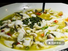 -青花椒花椒鱼(合生汇店)