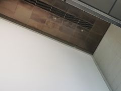 -上海柏悦酒店