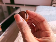 -小宝栗子(西安道店)