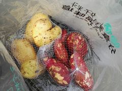 -东钱湖水上乐园(南门)