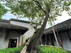 -乌镇东栅景区