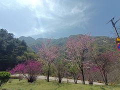 -秦岭终南山世界地质公园翠华山景区