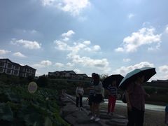 -中国有机生活公园