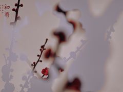 -杭州城北体育公园