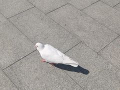 -山海广场