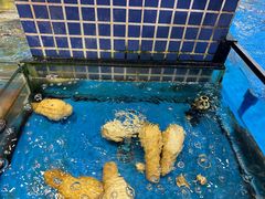 -琼菜人家·海南菜·文昌鸡(文昌大道店)
