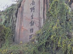 -云南野生动物园